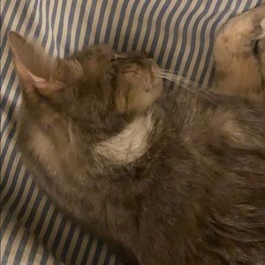 Meet your Posher, Amilcar